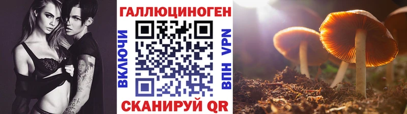 как найти наркотики  Соликамск  MEGA ссылки  Псилоцибиновые грибы мухоморы 