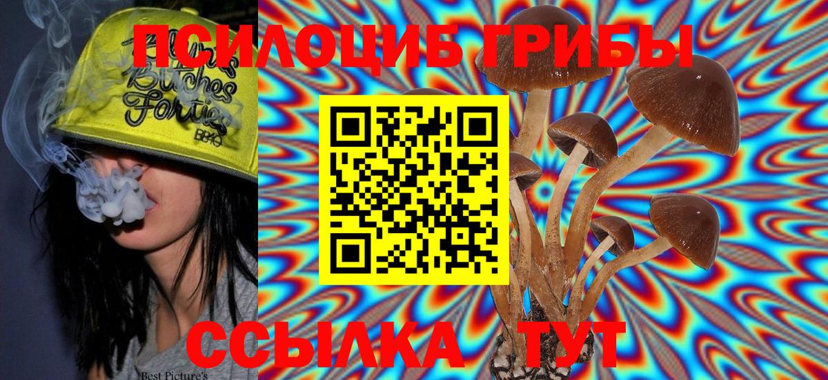 Соликамск  Галлюциногенные грибы Psilocybine cubensis  Вход с VPN 