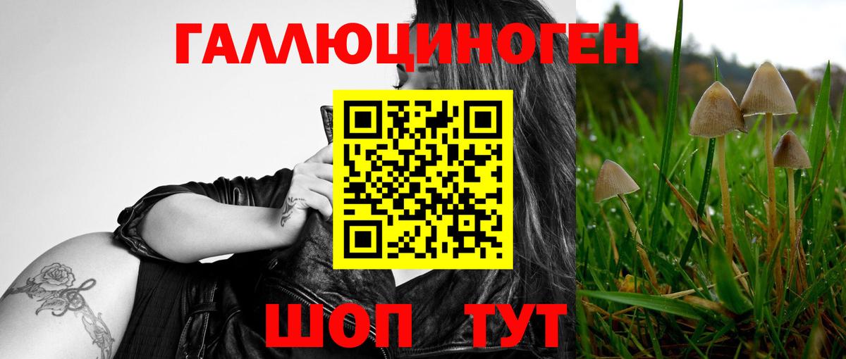 Псилоцибиновые грибы мухоморы Соликамск