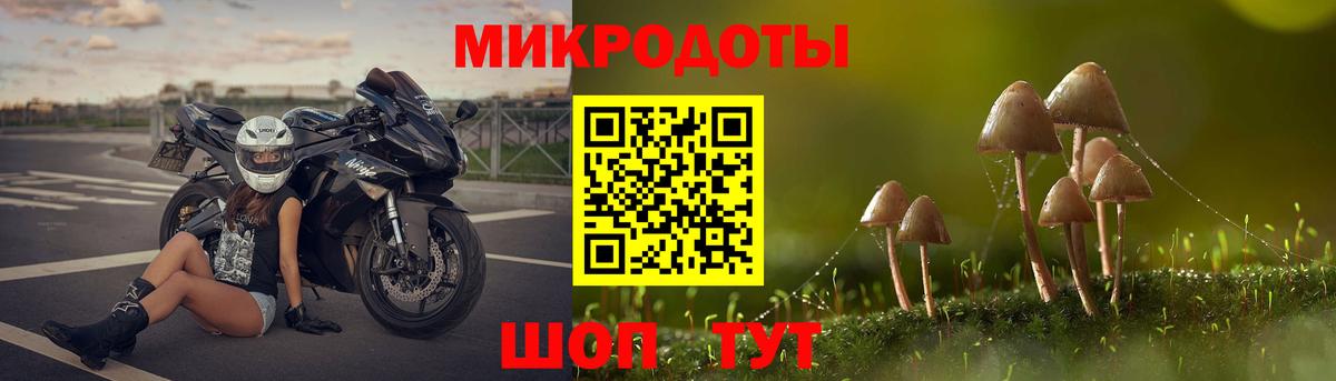 Псилоцибиновые грибы GOLDEN TEACHER Соликамск