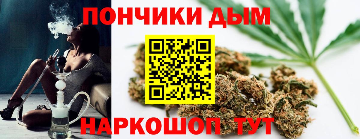 Соликамск  Канабис семена  Конопля конопля  Вход с VPN  Каннабис Amnesia 